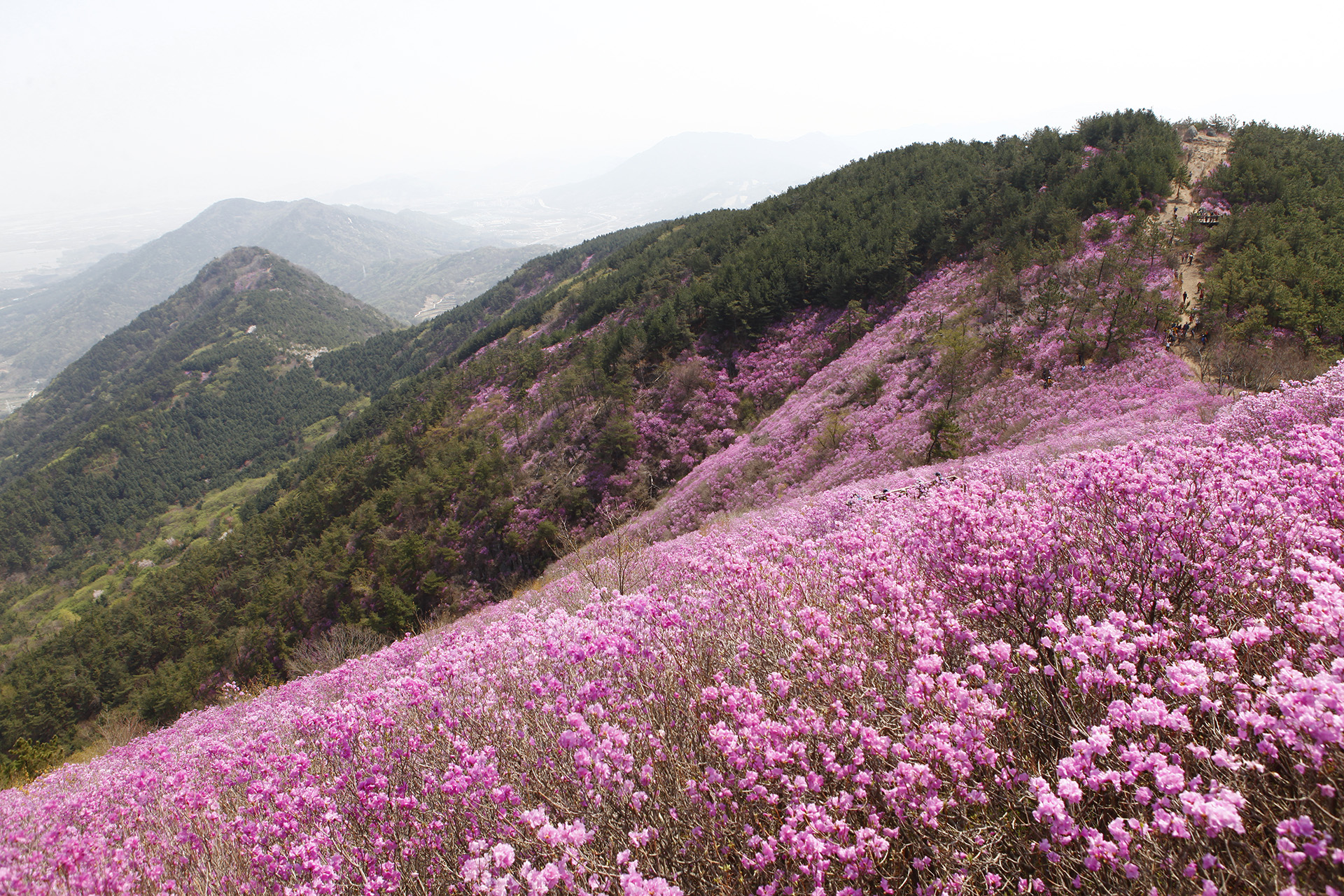 천주산